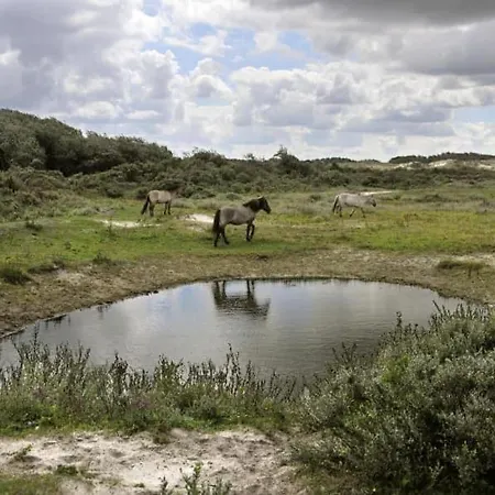 Aan Zee Vlakbij Plopsaland En Het - Casa Memphis *