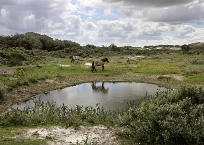 Aan Zee Vlakbij Plopsaland En Het - Casa Memphis *