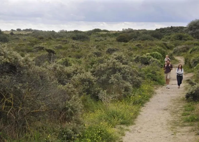 Holiday home Aan Zee Vlakbij Plopsaland En Het - Casa Memphis *